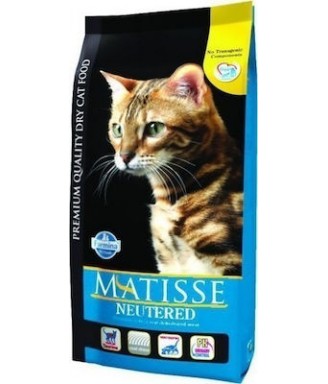 Matisse neutered original (team breeder cat) 10kg